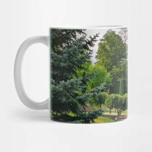 Curchi Monastery garden Mug